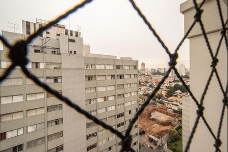 Apartamento para alugar com 175m², 3 quartos e 3 vagas Apartamento para alugar com 175m², 3 quartos e 3 vagasVista da Suíte 1