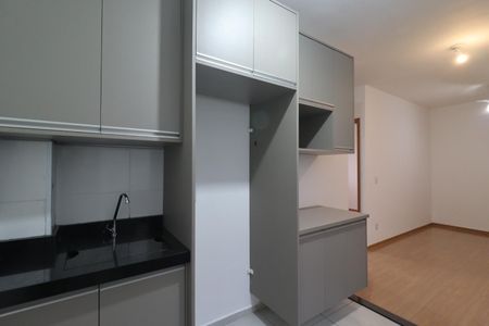 Cozinha de apartamento para alugar com 2 quartos, 45m² em Recreio das Acacias, Ribeirão Preto