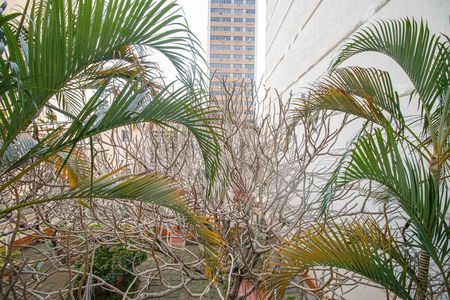 Apartamento à venda com 119m², 4 quartos e 1 vaga Apartamento à venda com 119m², 4 quartos e 1 vagaQuarto 3 Vista