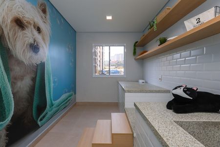 Apartamento à venda com 34m², 2 quartos e sem vaga Apartamento à venda com 34m², 2 quartos e sem vagapet care