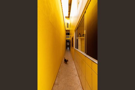 Casa para alugar com 241m², 3 quartos e 4 vagas Casa para alugar com 241m², 3 quartos e 4 vagasCorredor