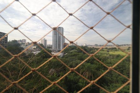 Vista de apartamento para alugar com 1 quarto, 40m² em Jardim Palma Travassos, Ribeirão Preto