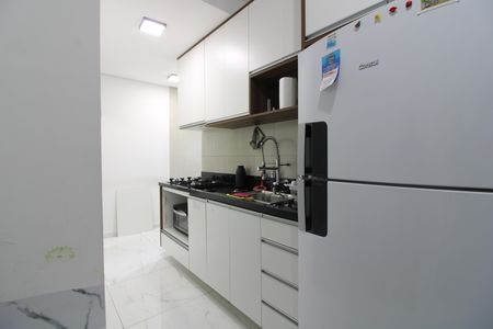 cozinha de apartamento para alugar com 2 quartos, 40m² em Jardim Nordeste, São Paulo