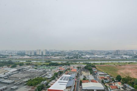 Vista Quarto 1 de apartamento para alugar com 2 quartos, 35m² em Veleiros, São Paulo