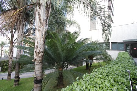 Apartamento à venda com 184m², 3 quartos e 3 vagasÁrea comum