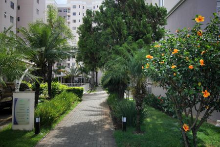 Apartamento para alugar com 55m², 2 quartos e 1 vagaÁrea comum