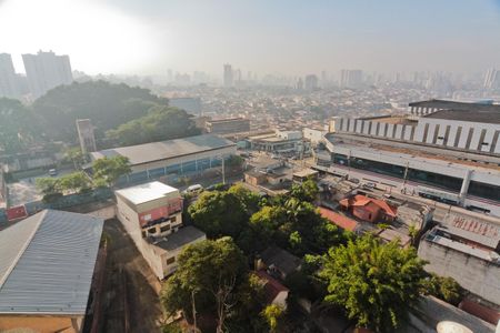 Vista de apartamento para alugar com 2 quartos, 50m² em Jardim Amalia, São Paulo