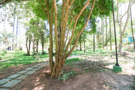 Apartamento à venda com 77m², 2 quartos e 2 vagas
