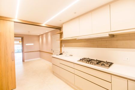 Apartamento à venda com 296m², 3 quartos e 3 vagasCozinha