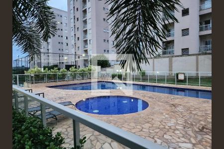 Apartamento para alugar com 60m², 2 quartos e 1 vaga Apartamento para alugar com 60m², 2 quartos e 1 vagaPiscina