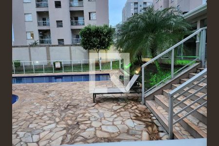Apartamento para alugar com 60m², 2 quartos e 1 vaga Apartamento para alugar com 60m², 2 quartos e 1 vagaPiscina