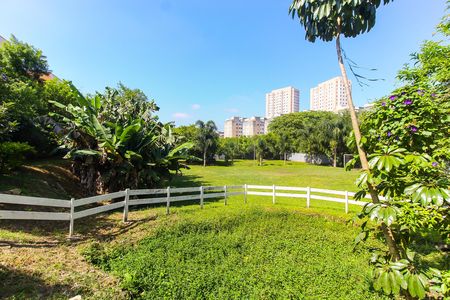 Apartamento para alugar com 43m², 2 quartos e 1 vaga Apartamento para alugar com 43m², 2 quartos e 1 vagaÁrea comum