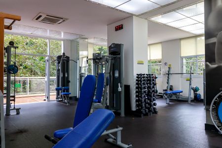 Apartamento para alugar com 178m², 3 quartos e 3 vagasAcademia