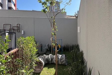 Apartamento para alugar com 26m², 1 quarto e sem vaga Apartamento para alugar com 26m², 1 quarto e sem vagaÁrea Comum - Pet Place