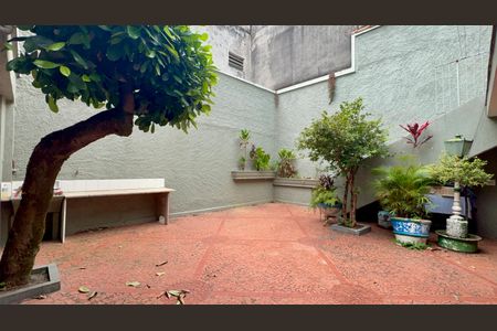 Casa para alugar com 300m², 3 quartos e 6 vagasQuintal