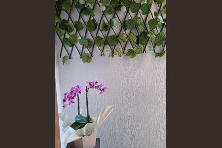 Casa à venda com 240m², 4 quartos e 2 vagasFoto 20