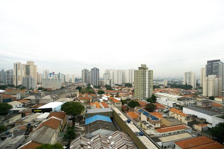 Apartamento para alugar com 232m², 3 quartos e 2 vagas Apartamento para alugar com 232m², 3 quartos e 2 vagasVista do quarto 01