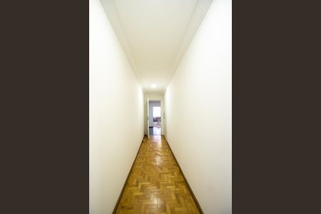 Apartamento para alugar com 232m², 3 quartos e 2 vagas Apartamento para alugar com 232m², 3 quartos e 2 vagasCorredor dos quartos