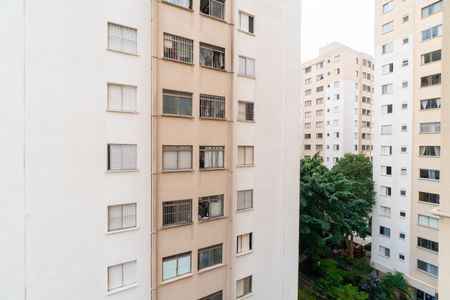 Vista do Quarto 1 de apartamento à venda com 2 quartos, 63m² em Vila Campestre, São Paulo