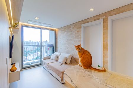 Apartamento à venda com 40m², 2 quartos e sem vaga Apartamento à venda com 40m², 2 quartos e sem vagaSala/Cozinha