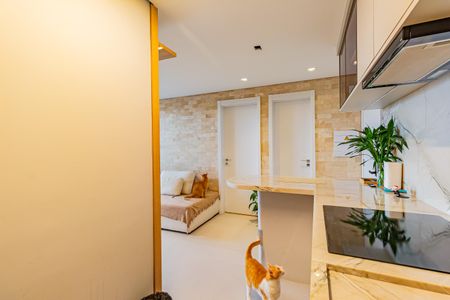 Apartamento à venda com 40m², 2 quartos e sem vaga Apartamento à venda com 40m², 2 quartos e sem vagaCozinha e Área de Serviço
