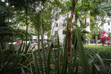 Apartamento para alugar com 2 quartos, 42m² em Parque Munhoz, São Paulo