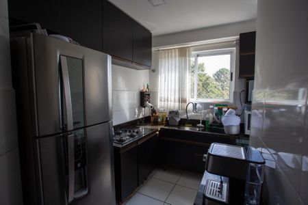 Cozinha de apartamento para alugar com 2 quartos, 40m² em Santo Antônio, São José dos Pinhais