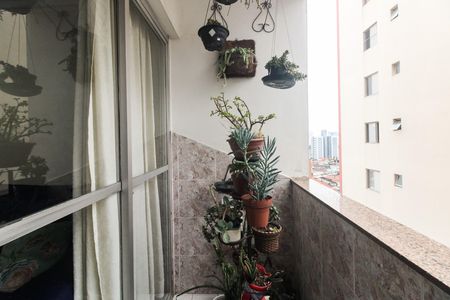 Apartamento à venda com 81m², 3 quartos e 2 vagas Apartamento à venda com 81m², 3 quartos e 2 vagasVaranda