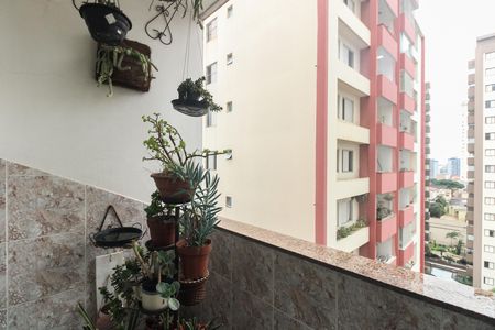Apartamento à venda com 81m², 3 quartos e 2 vagas Apartamento à venda com 81m², 3 quartos e 2 vagasVaranda