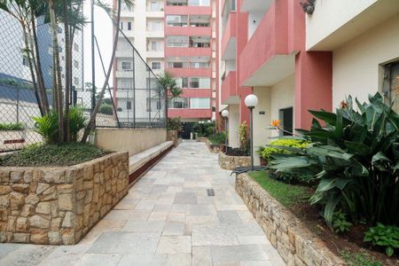 Apartamento à venda com 81m², 3 quartos e 2 vagas Apartamento à venda com 81m², 3 quartos e 2 vagasÁrea de Serviço