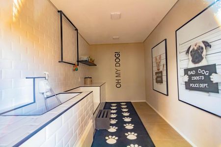 Apartamento para alugar com 30m², 1 quarto e sem vaga Apartamento para alugar com 30m², 1 quarto e sem vagaPet care