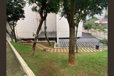 Apartamento para alugar com 82m², 3 quartos e 1 vagaPet Place