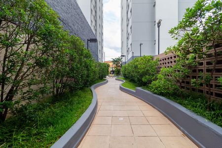 Apartamento à venda com 50m², 2 quartos e 1 vagaÁrea comum