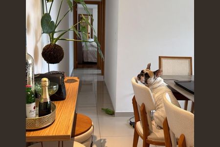 Foto 05 de apartamento para alugar com 2 quartos, 70m² em Vila da Serra, Nova Lima