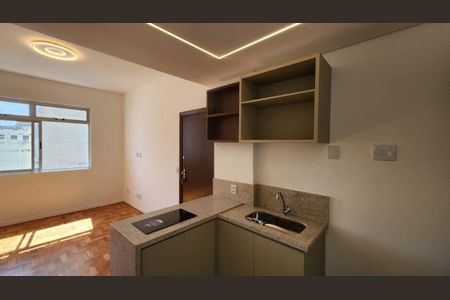Foto 12 de apartamento à venda com 1 quarto, 46m² em Centro, Belo Horizonte
