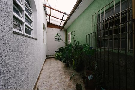 Casa para alugar com 66m², 3 quartos e 1 vagaQuintal