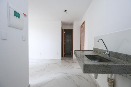 Apartamento para alugar com 34m², 2 quartos e sem vagaCozinha