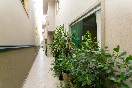 Casa de condomínio à venda com 68m², 2 quartos e 1 vaga Casa de condomínio à venda com 68m², 2 quartos e 1 vagaÁrea Externa