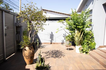 Casa para alugar com 180m², 4 quartos e 2 vagas Casa para alugar com 180m², 4 quartos e 2 vagasQuintal