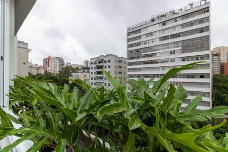 Apartamento à venda com 239m², 3 quartos e 1 vaga