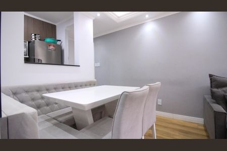 Sala de apartamento para alugar com 2 quartos, 47m² em Vila Mendes, São Paulo