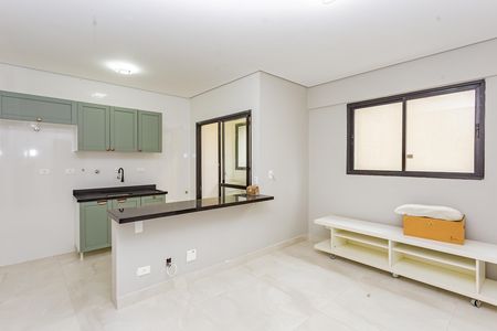 Sala de apartamento para alugar com 1 quarto, 45m² em Vila Gumercindo, São Paulo