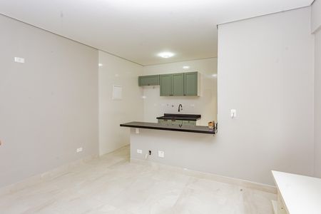 Sala de apartamento para alugar com 1 quarto, 45m² em Vila Gumercindo, São Paulo