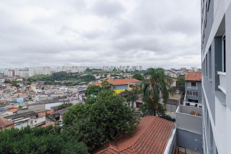 Vista Sala de apartamento para alugar com 1 quarto, 16m² em Vila Pereira Barreto, São Paulo