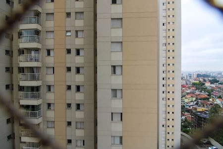 Apartamento para alugar com 73m², 3 quartos e 1 vaga Apartamento para alugar com 73m², 3 quartos e 1 vagaVista Suíte