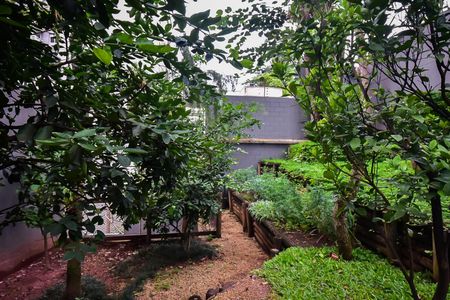 Apartamento para alugar com 51m², 2 quartos e 1 vaga Apartamento para alugar com 51m², 2 quartos e 1 vagaHorta