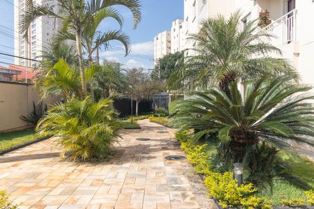 Apartamento para alugar com 67m², 2 quartos e 2 vagas Apartamento para alugar com 67m², 2 quartos e 2 vagasÁrea comum