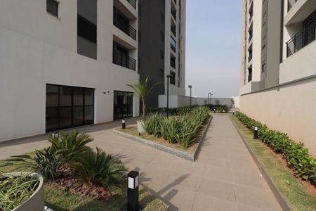 Apartamento para alugar com 37m², 2 quartos e 1 vagaArea comum - Área livre