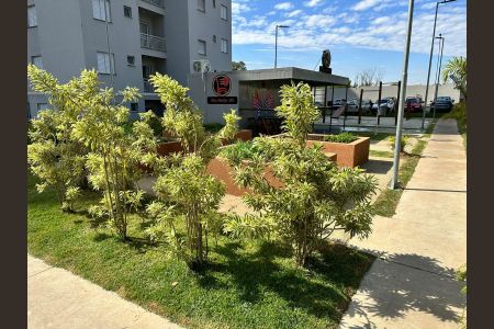 Apartamento para alugar com 54m², 2 quartos e 1 vaga Apartamento para alugar com 54m², 2 quartos e 1 vagaÁrea Externa