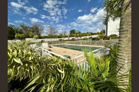 Apartamento para alugar com 54m², 2 quartos e 1 vaga Apartamento para alugar com 54m², 2 quartos e 1 vagaPiscina